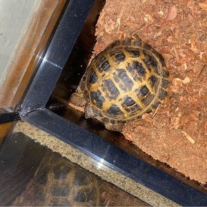 Meet your Posher, Madelynn